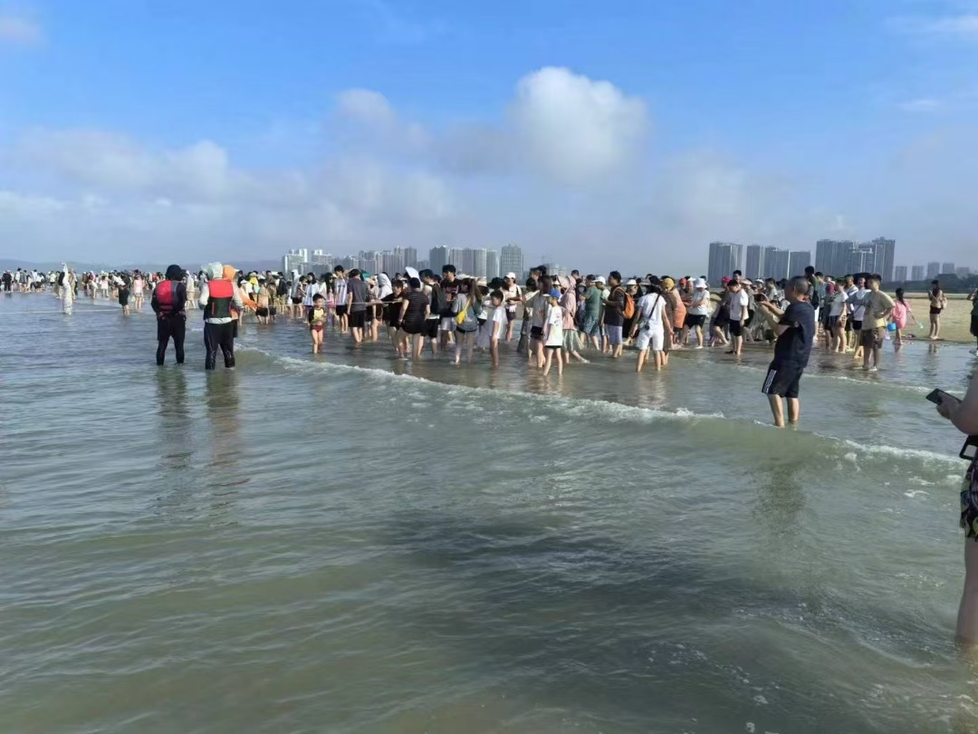 北海赶海潮汐查询