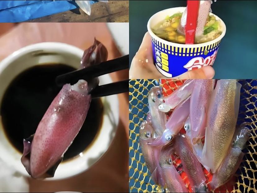 现钓鱿鱼吃法