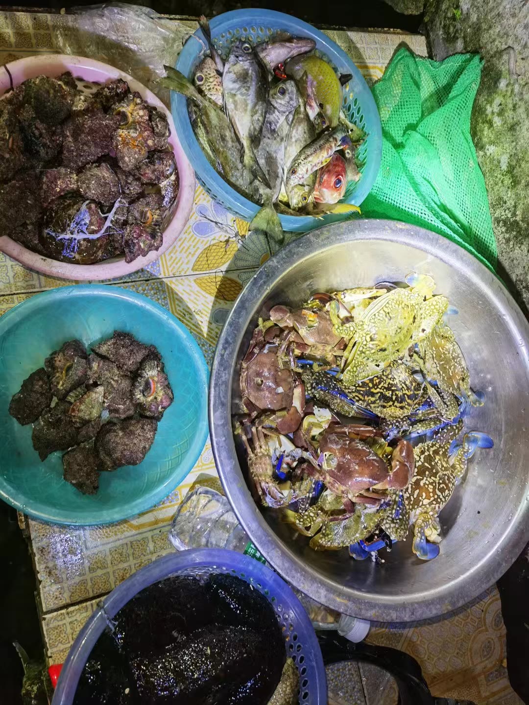 涠洲岛赶海多种鱼蟹贝类收获
