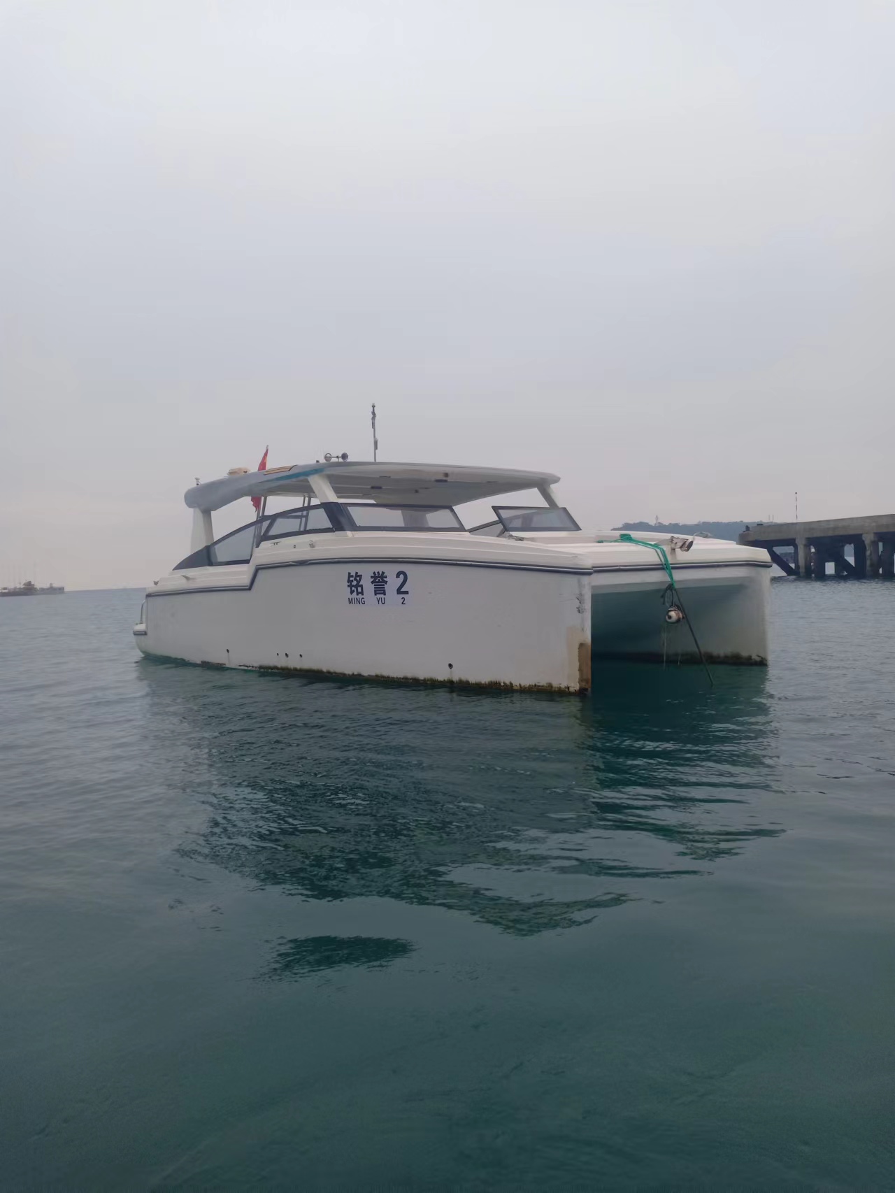 观鲸游艇海面