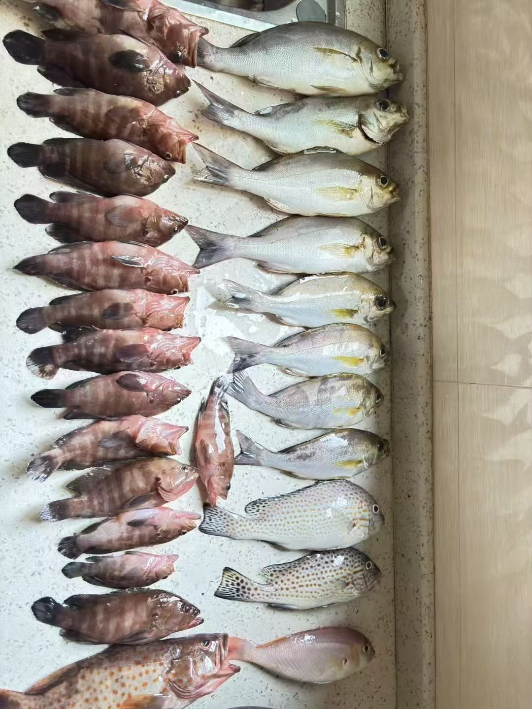 涠洲岛游艇海面