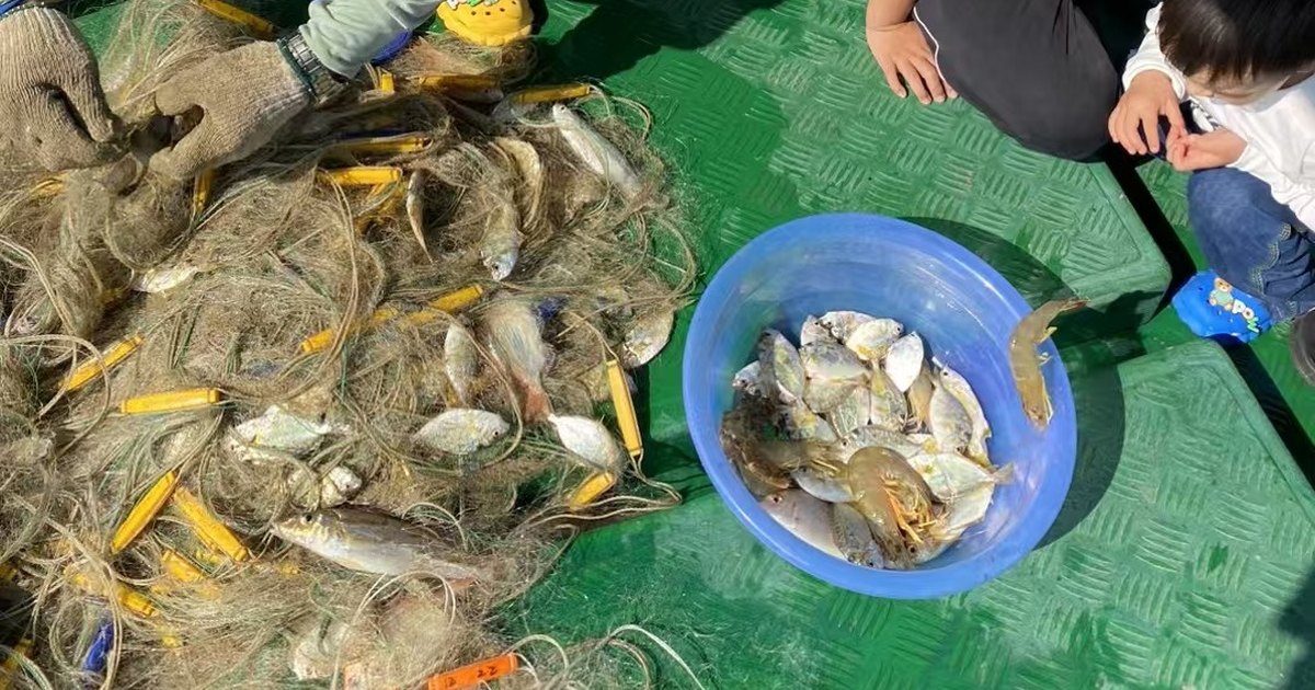 外沙岛木船下网捕鱼鱼虾蟹鱼获实拍